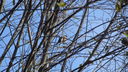 Filename=001~0.JPG
Filesize=823KiB
Dimensions=1920x1080
Date added=Sep 17, 2012 001~0.JPG