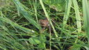 Filename=002.JPG
Filesize=644KiB
Dimensions=1920x1080
Date added=Aug 27, 2012 002.JPG