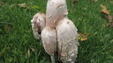 Filename=002~1.JPG
Filesize=622KiB
Dimensions=1920x1080
Date added=Oct 04, 2012 002~1.JPG