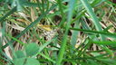 Filename=007.JPG
Filesize=568KiB
Dimensions=1920x1080
Date added=May 30, 2012 007.JPG