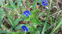 Filnamn=Blomma.JPG
Filstorlek=557KiB
Dimensioner=1920x1080
Uppladdade datum=Jun 14, 2012 Blomma.JPG