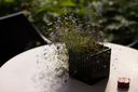 Filename=Blommor_pa_bordet.jpg
Filesize=224KiB
Dimensions=2048x1365
Date added=Aug 13, 2013 Blommor_pa_bordet.jpg