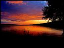 Filename=Colorful3_1016x768.jpg
Filesize=89KiB
Dimensions=1016x768
Date added=Nov 04, 2013 Colorful3_1016x768.jpg
