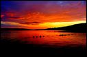 Filename=Colorful_sky_1024x671.jpg
Filesize=83KiB
Dimensions=1024x671
Date added=Nov 04, 2013 Colorful_sky_1024x671.jpg