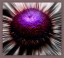 Filename=Flower_art_838x768.jpg
Filesize=82KiB
Dimensions=838x768
Date added=Oct 25, 2013 Flower_art_838x768.jpg