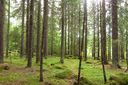 Filename=Gula_markeringar_pa_Finnaset-Vaghalsen_1024x682.jpg
Filesize=209KiB
Dimensions=1024x682
Date added=Jun 18, 2012 Gula_markeringar_pa_Finnaset-Vaghalsen_1024x682.jpg