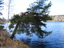 Filnamn=IMG_0013b.JPG
Filstorlek=276KiB
Dimensioner=640x480
Uppladdade datum=Jun 16, 2011 IMG_0013b.JPG