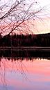 Filnamn=IMG_6507_432x768.jpg
Filstorlek=80KiB
Dimensioner=432x768
Uppladdade datum=Nov 29, 2013 IMG_6507_432x768.jpg