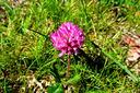 Filnamn=IMG_7633.JPG
Filstorlek=544KiB
Dimensioner=1600x1064
Uppladdade datum=Jun 11, 2013 IMG_7633.JPG