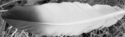 Filnamn=P7150533copy-002.jpg
Filstorlek=594KiB
Dimensioner=2046x605
Uppladdade datum=Sep 19, 2016 P7150533copy-002.jpg