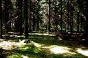 Filnamn=Skog2C_Grangesberg_1024x681.jpg
Filstorlek=200KiB
Dimensioner=1024x681
Uppladdade datum=Jun 07, 2013 Skog2C_Grangesberg_1024x681.jpg
