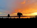 Filnamn=Solnedgang_over_Vasman_1024x768.jpg
Filstorlek=52KiB
Dimensioner=1024x768
Uppladdade datum=Nov 04, 2013 Solnedgang_over_Vasman_1024x768.jpg