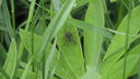 Filnamn=Spidndel.JPG
Filstorlek=443KiB
Dimensioner=1920x1080
Uppladdade datum=Jun 14, 2012 Spidndel.JPG