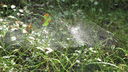 Filnamn=Spindelnat_Biskopsnaset.JPG
Filstorlek=864KiB
Dimensioner=1920x1080
Uppladdade datum=Aug 13, 2012 Spindelnat_Biskopsnaset.JPG