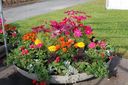 Filename=blomfat1.JPG
Filesize=737KiB
Dimensions=2048x1365
Date added=Jun 22, 2011 blomfat1.JPG