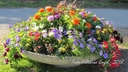 Filnamn=fin_blomsterabatt.jpg
Filstorlek=266KiB
Dimensioner=800x450
Uppladdade datum=Jun 25, 2018 fin_blomsterabatt.jpg