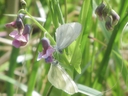 Filnamn=mote.jpg
Filstorlek=1747KiB
Dimensioner=2047x1541
Uppladdade datum=Jun 12, 2017 mote.jpg