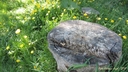Filnamn=prova_att_sitta.jpg
Filstorlek=163KiB
Dimensioner=640x360
Uppladdade datum=Jun 29, 2018 prova_att_sitta.jpg