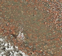 Filnamn=vattendropp.jpg
Filstorlek=838KiB
Dimensioner=1897x1727
Uppladdade datum=Mar 14, 2018 vattendropp.jpg