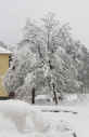 Filnamn=vinter.jpg
Filstorlek=1573KiB
Dimensioner=1327x2048
Uppladdade datum=Dec 04, 2017 vinter.jpg