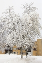 Filnamn=vinter1.jpg
Filstorlek=1910KiB
Dimensioner=1369x2047
Uppladdade datum=Dec 04, 2017 vinter1.jpg