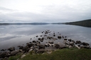 Filename=Fagelstalle_2592x1728.jpg
Filesize=1294KiB
Dimensions=2048x1365
Date added=Sep 26, 2016 Fagelstalle_2592x1728.jpg