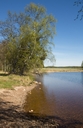 Filnamn=Strandkanten_1656x2551.jpg
Filstorlek=1813KiB
Dimensioner=1329x2047
Uppladdade datum=Aug 08, 2016 Strandkanten_1656x2551.jpg