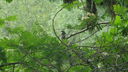 Filnamn=023.JPG
Filstorlek=120KiB
Dimensioner=640x360
Uppladdade datum=Jun 09, 2014 023.JPG
