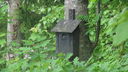 Filnamn=025.JPG
Filstorlek=126KiB
Dimensioner=640x360
Uppladdade datum=Jun 09, 2014 025.JPG