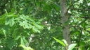 Filnamn=027.JPG
Filstorlek=128KiB
Dimensioner=640x360
Uppladdade datum=Jun 10, 2014 027.JPG