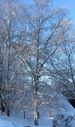 Filnamn=IMG_3254.jpg
Filstorlek=878KiB
Dimensioner=1214x2048
Uppladdade datum=Feb 02, 2015 IMG_3254.jpg
