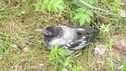 Filnamn=IMG_6575.jpg
Filstorlek=618KiB
Dimensioner=2046x1150
Uppladdade datum=Jun 15, 2015 IMG_6575.jpg