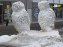 Filename=berguvar.jpg
Filesize=391KiB
Dimensions=2048x1531
Date added=Mar 23, 2015 berguvar.jpg