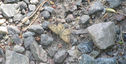 Filename=forkladnad.jpg
Filesize=528KiB
Dimensions=2048x1039
Date added=Jun 24, 2014 forkladnad.jpg