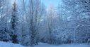 Filnamn=sno.jpg
Filstorlek=616KiB
Dimensioner=2048x1077
Uppladdade datum=Feb 16, 2015 sno.jpg