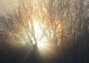 Filnamn=sol_dimma_hogberget.jpg
Filstorlek=585KiB
Dimensioner=2048x1467
Uppladdade datum=Feb 24, 2015 sol_dimma_hogberget.jpg