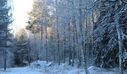 Filnamn=vinter_vid_biskopsnaset.jpg
Filstorlek=741KiB
Dimensioner=2047x1190
Uppladdade datum=Jan 20, 2015 vinter_vid_biskopsnaset.jpg