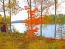 Filename=Hosten_redigerad-2.jpg
Filesize=714KiB
Dimensions=2048x1536
Date added=Oct 08, 2015 Hosten_redigerad-2.jpg