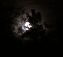 Filename=Mansken.jpg
Filesize=245KiB
Dimensions=2047x1872
Date added=Nov 24, 2015 Mansken.jpg